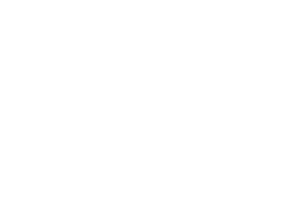 cattle